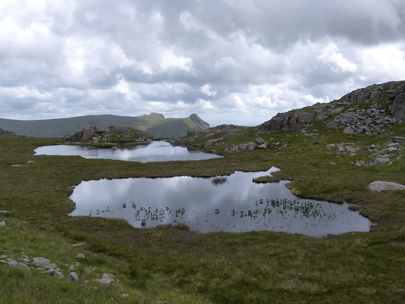 High House Tarn